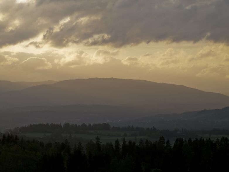 Views over the forest