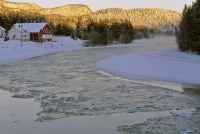 Svene - winter scenery ved Lågen